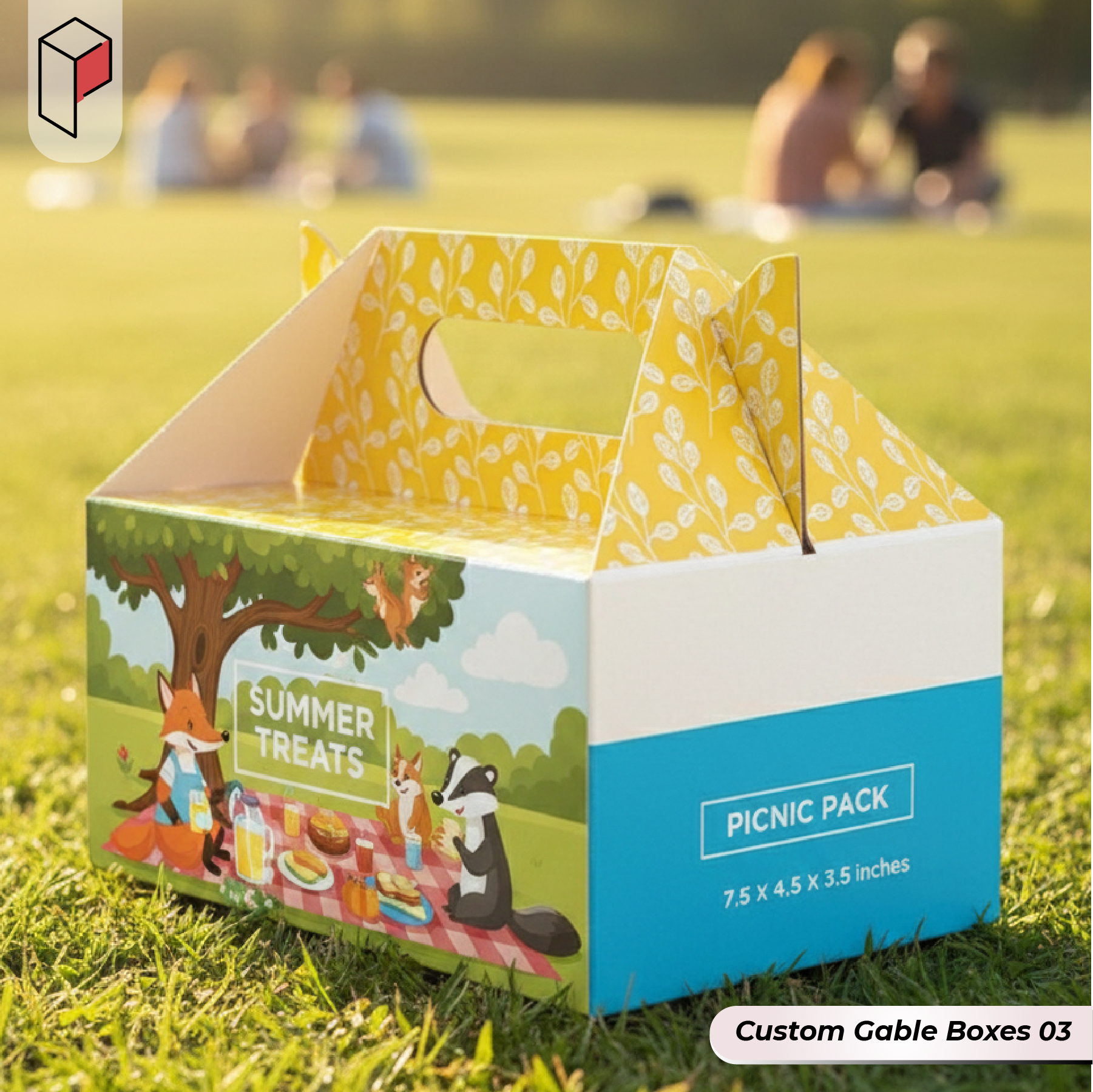 Custom Gable Boxes wholesale (3)