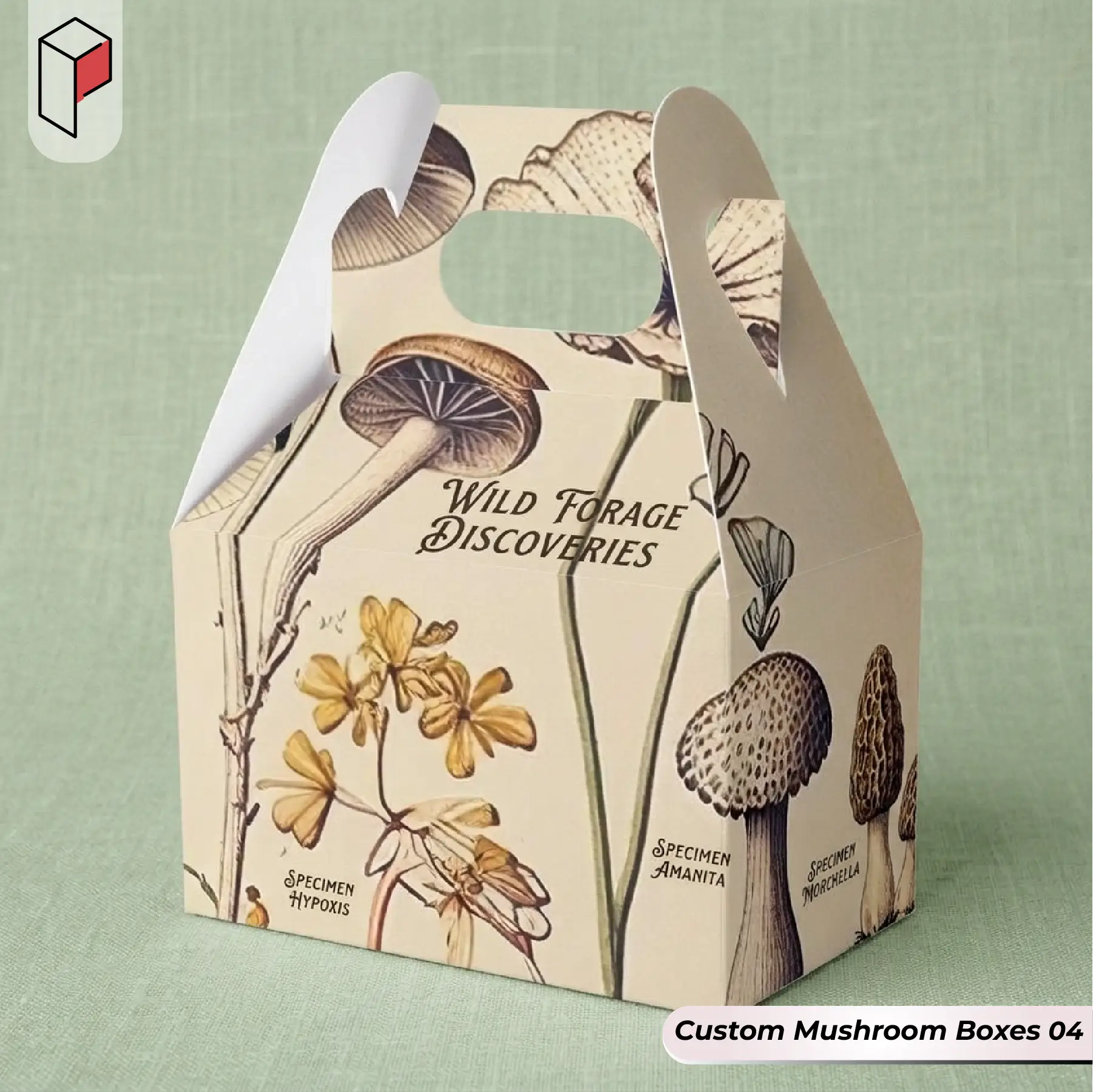 Custom Mushroom Boxes USA 04