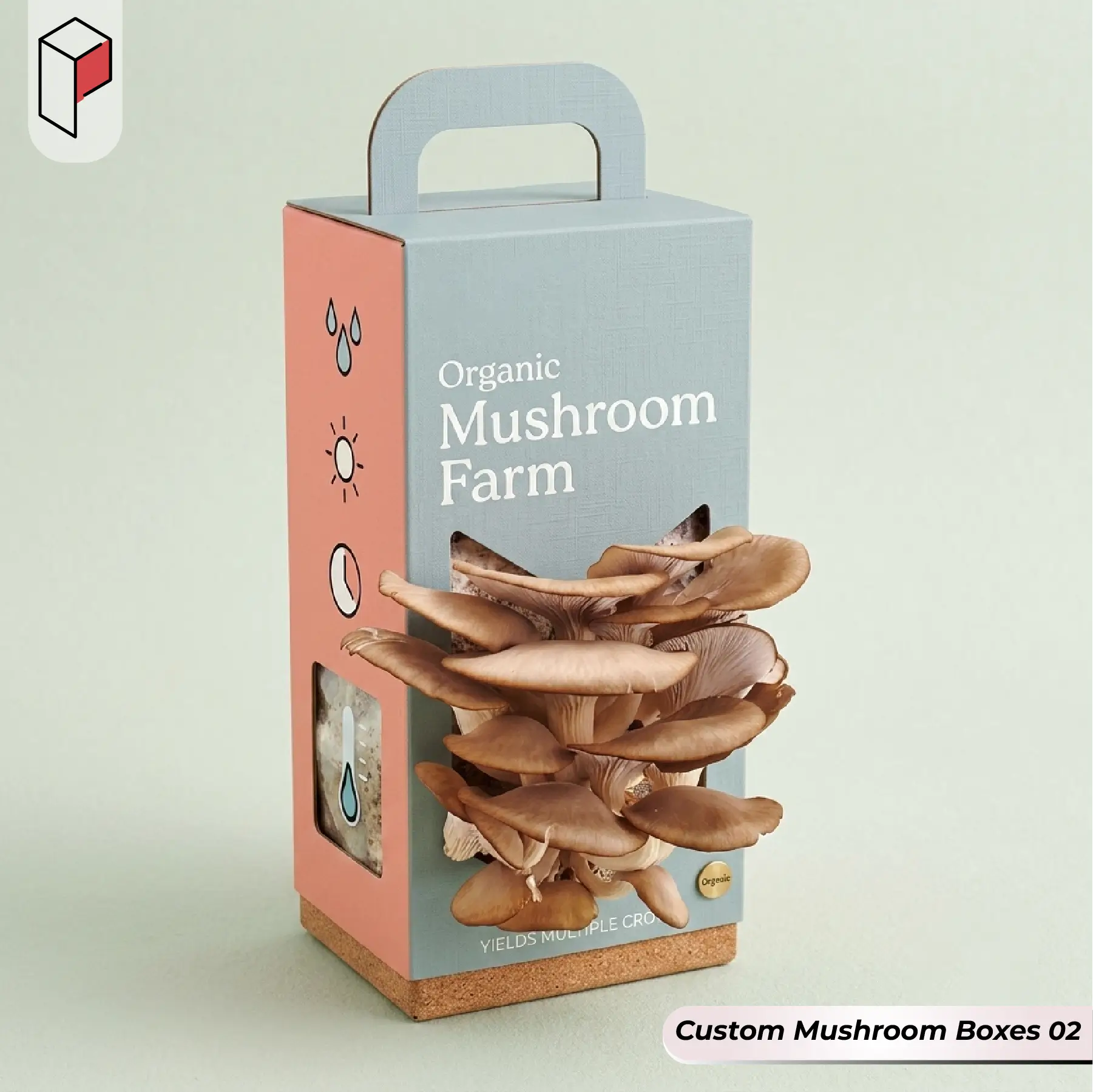 Custom Mushroom Boxes Wholesale 02